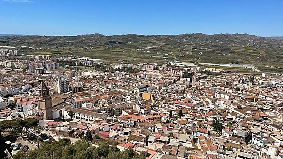 Costa del Sol town launches fight to eradicate mosquitoes and cockroaches