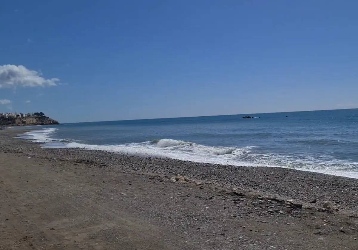 This is the moment dolphins were spotted unusually close to the shore on the Costa del Sol