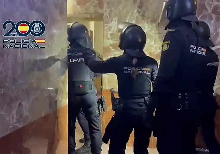 Operation Lightyear: Gang that raided toy shops in Malaga and across Spain over four-year period is finally busted