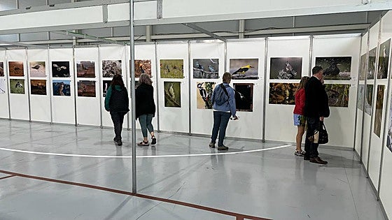 International birders flock to Ronda village for Andalucía festival