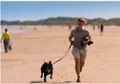 A pet dog running along a sandy beach.