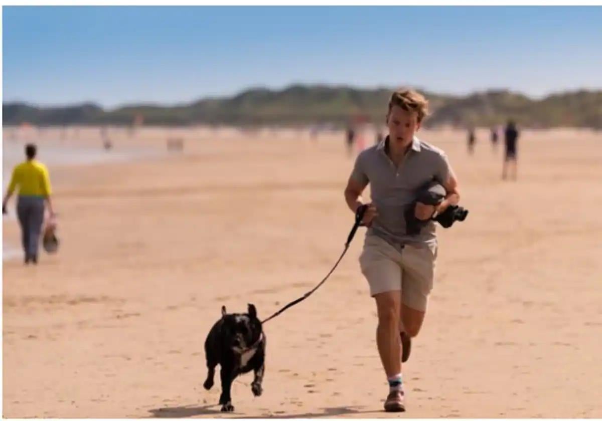 These are the beaches in Andalucía's Cadiz province that you can visit with your dog