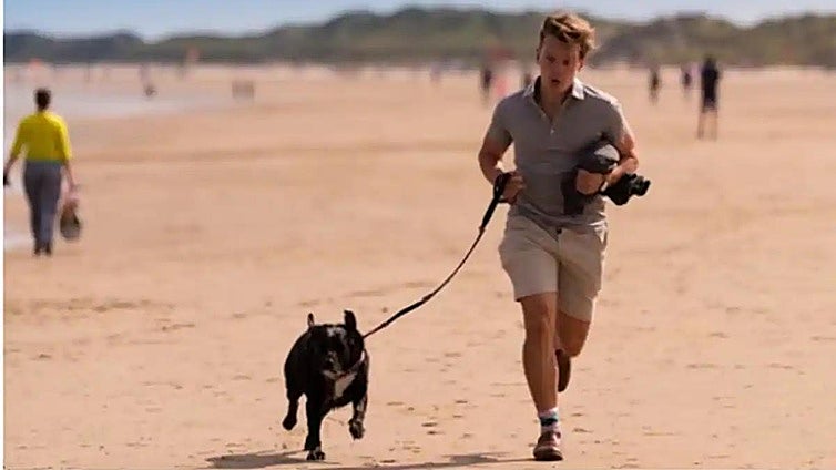 These are the beaches in Andalucía's Cadiz province that you can visit with your dog