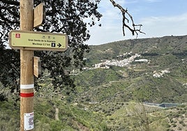 Image of the Gran Senda de la Axarquía near Moclinejo in the Axarquía.