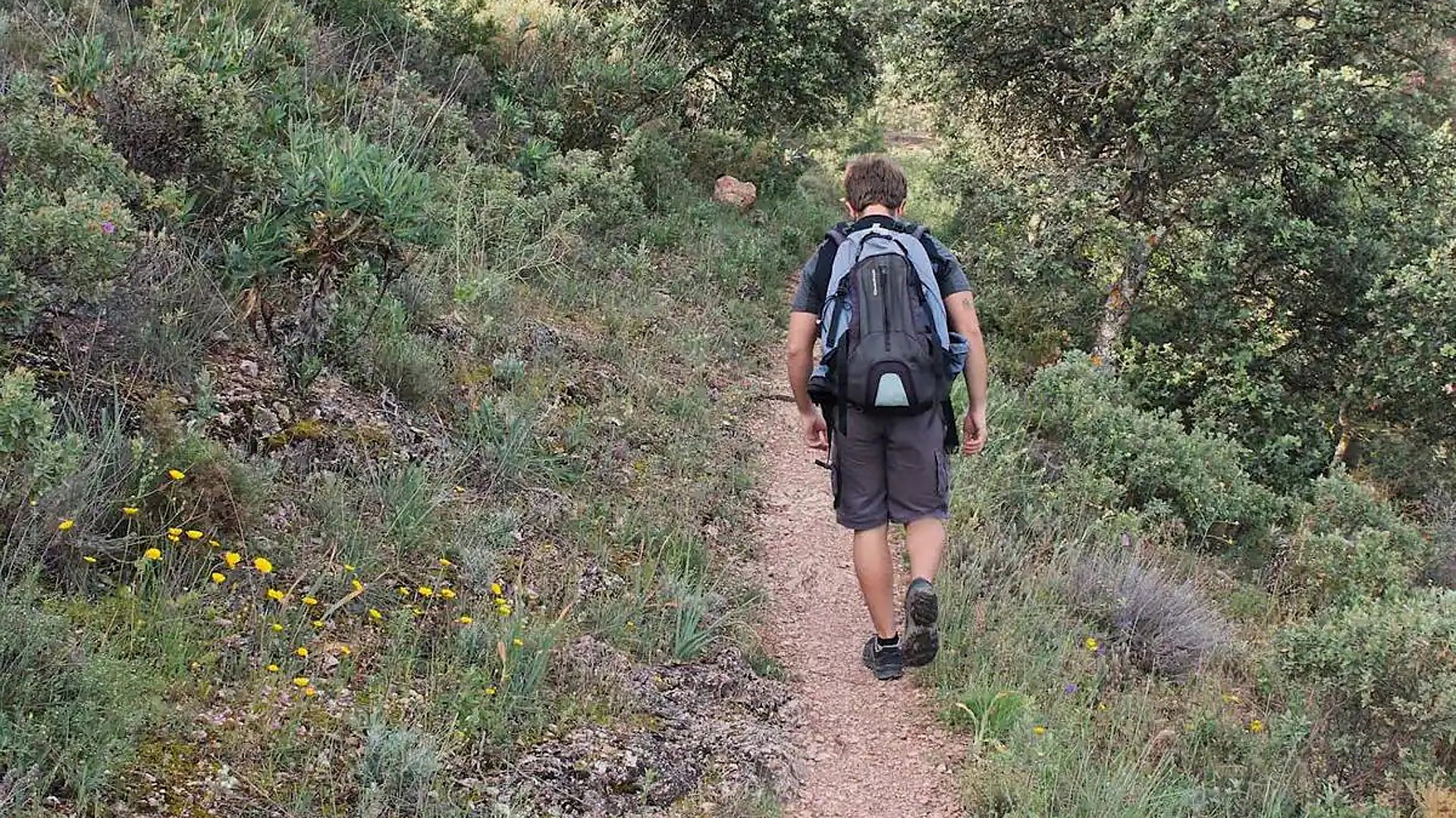 A hike in Malaga province that traces the steps of the last bandit of Andalucía - Vimarsana News