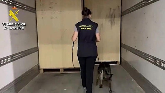 Watch as police dog sniffs out 25 tonnes of hashish, worth around 50 million euros on open market, in Spanish city port