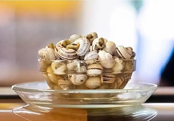 Do you like the taste and texture of snails? There's a town in the south of Spain cooking over 5,000 kilos of them this weekend