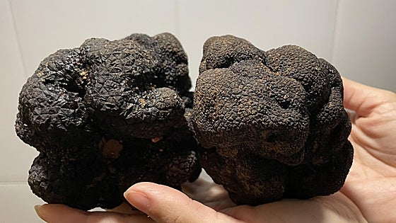 The black diamond of the kitchen that's found in Almeria