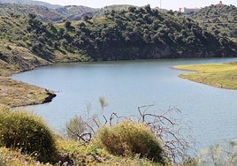 The Casasola reservoir in Almogía is located in the last stretch of the Campanillas river valley, and is well worth a visit this season.