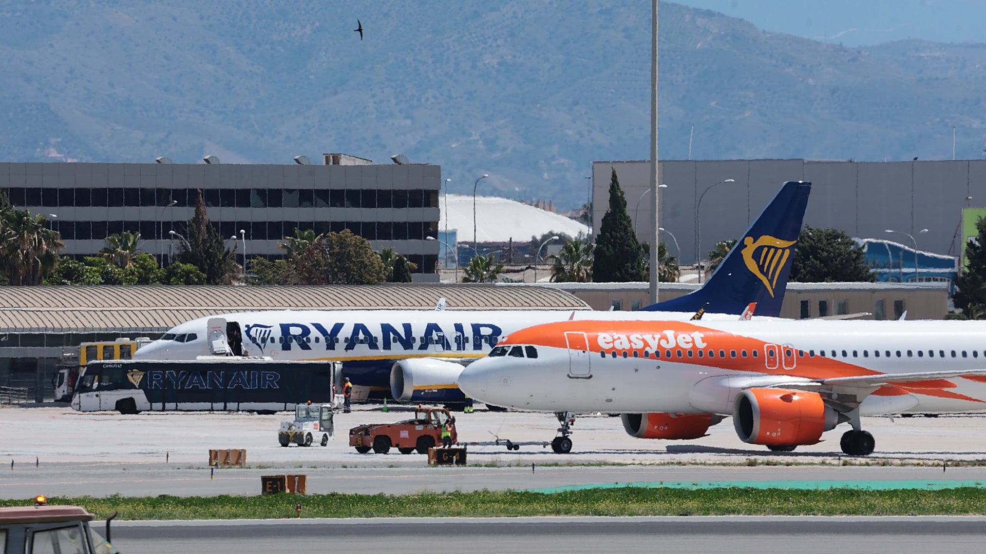These three budget airlines accounted for almost half of the 22.3 million passengers at Malaga Airport last year - Vimarsana News