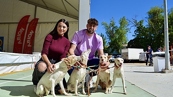 Archidona dog show attracts breeders from all over Spain
