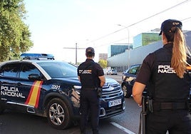 Eleven Serbian gang members arrested after violent 'settling of scores' attack on rival clan in Estepona
