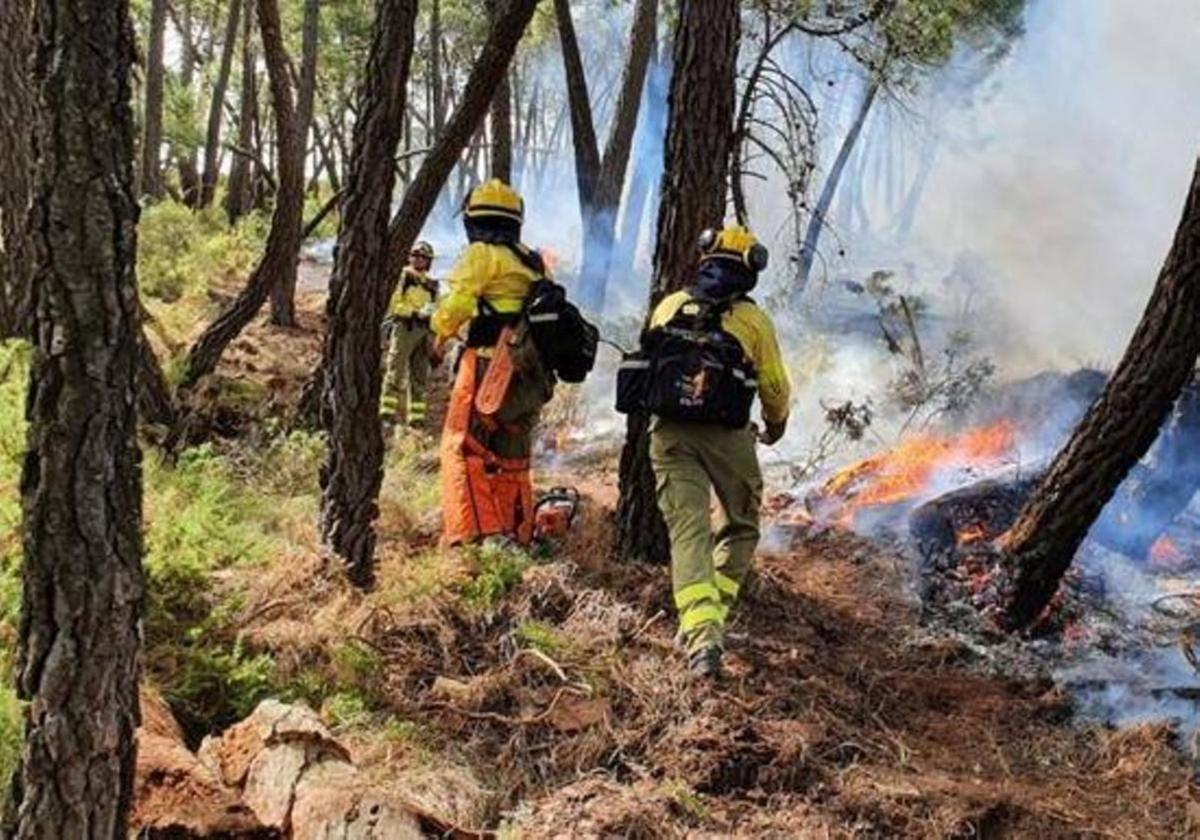 Spring rains give some breathing space to Infoca in preparations to face summer wildfires in Andalalucía