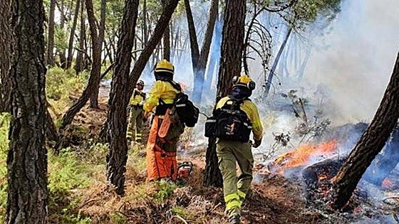 Spring rains give some breathing space to Infoca in preparations to face summer wildfires in Andalalucía