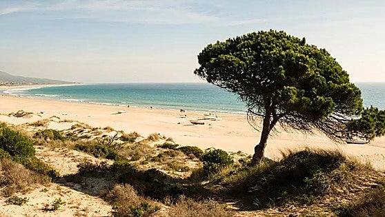 These are the 30 best beaches in Andalucía's Cadiz province, according to Condé Nast's Traveler magazine