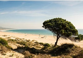 These are the 30 best beaches in Andalucía's Cadiz province, according to Condé Nast's Traveler magazine