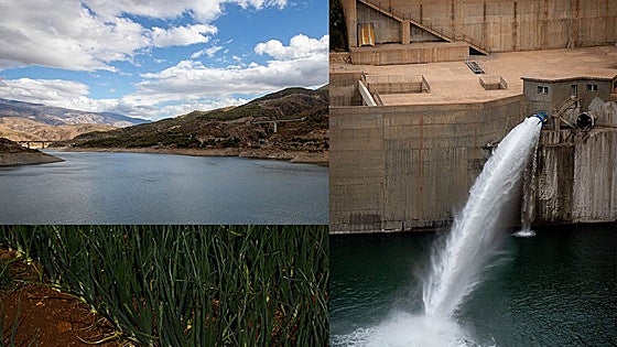 Granada prepares for drought crisis with 280m-euro investment