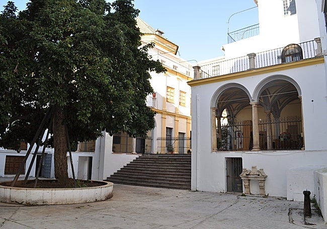 An example of what visitors will see on the Gaona trail.