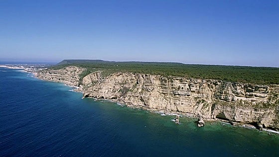 Coastal footpaths in Barbate awarded Blue Trail distinction: discover their charms