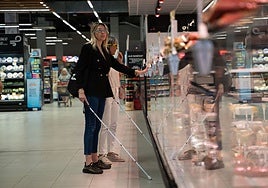 The councillors experience shopping without vision.