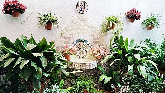 Alhaurín el Grande locals open up flower-filled patios to visitors