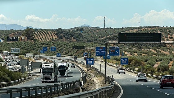 Andalusian roads to go green with 5,000 new plants: eight are in Malaga province