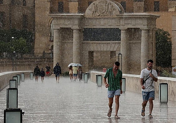 Spain's Met Office issues weather alerts for thunderstorms and heavy rain: these are the areas affected