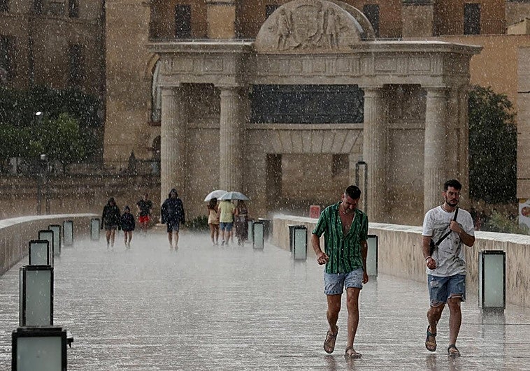 Spain's Met Office issues weather alerts for thunderstorms and heavy rain: these are the areas affected