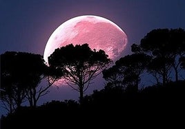 June is full of astronomical phenomena, such as the so-called strawberry moon.