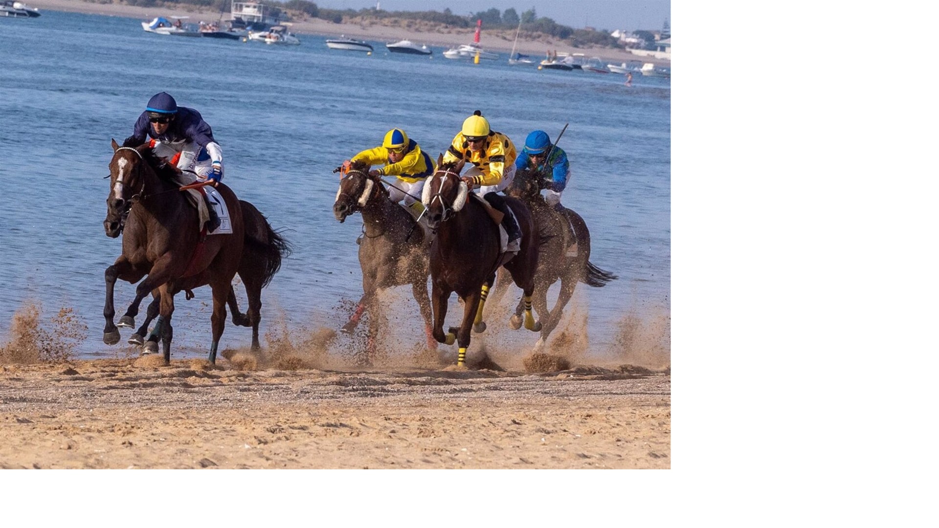 The oldest horse race in Spain, run the length of a famous beach in Andalucía, seeks Unesco cultural heritage status | Sur in English