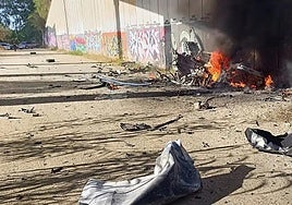 Pet dog miraculously escapes unharmed after car plunges off motorway bridge on the Costa del Sol, killing a young couple