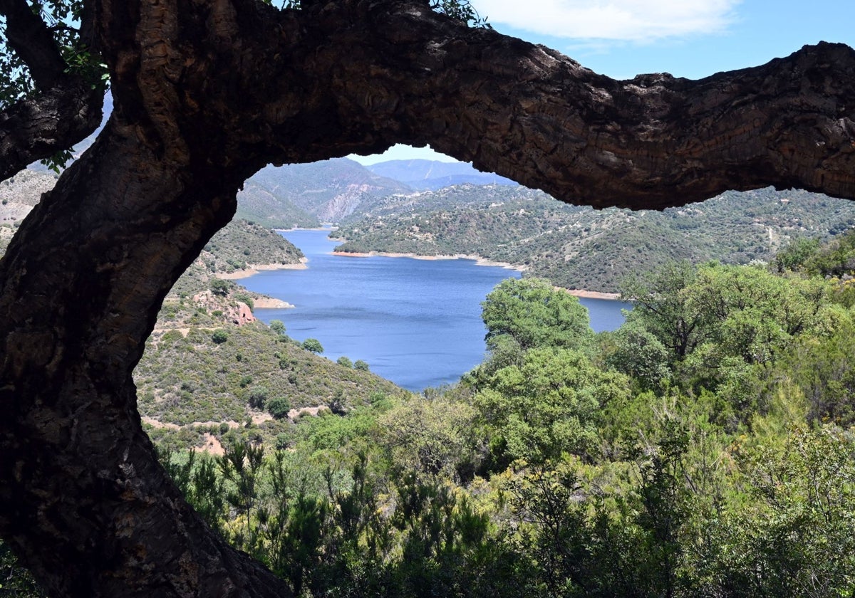 This is the current state of all the reservoirs in Malaga province as summer approaches
