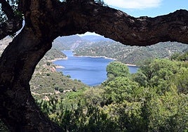 Image taken a few weeks ago at the La Concepción reservoir, near Marbella.