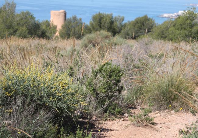 After moving southwards the Torre de Maro comes into view.