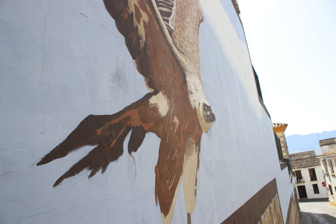 Artists from five continents leave their mark on a town near Ronda, in pictures