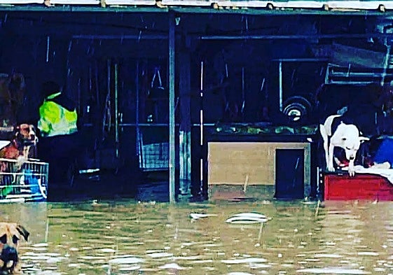 The charity's old premises suffered constant flooding.