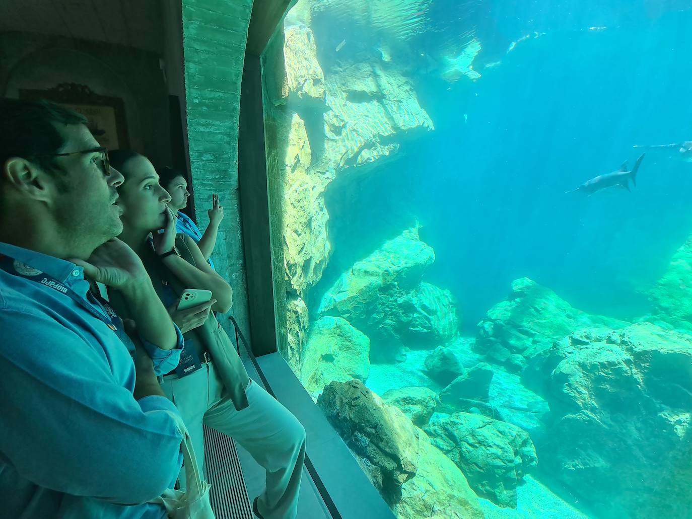 The Infinite Journey at Bioparc Fuengirola, in pictures