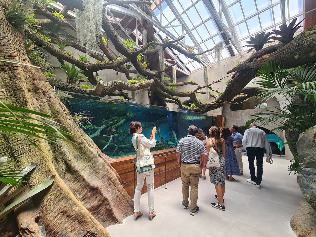 The Infinite Journey at Bioparc Fuengirola, in pictures