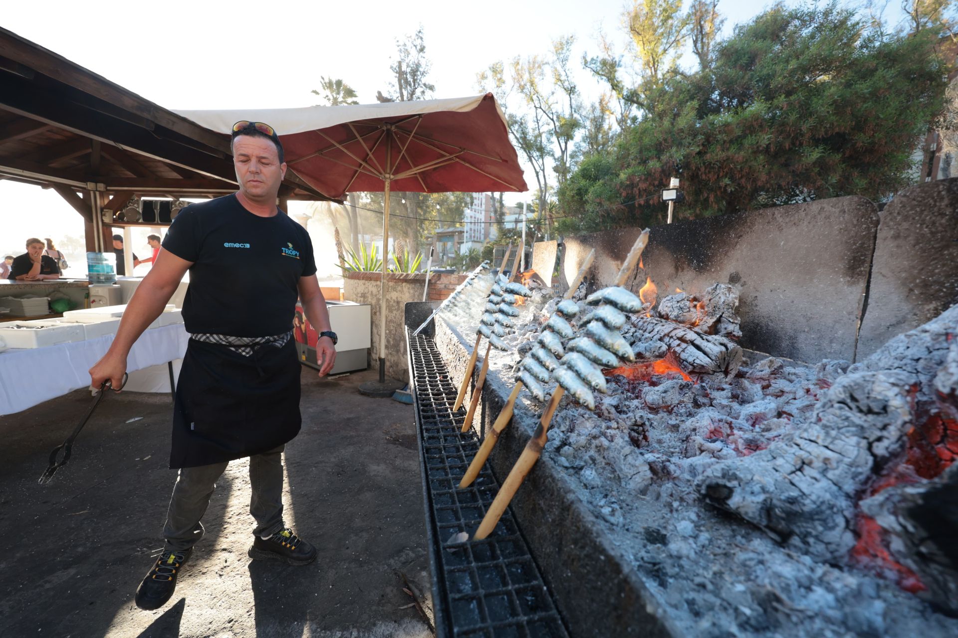 Finalists in the search for the best sardines on the Costa del Sol, in photographs