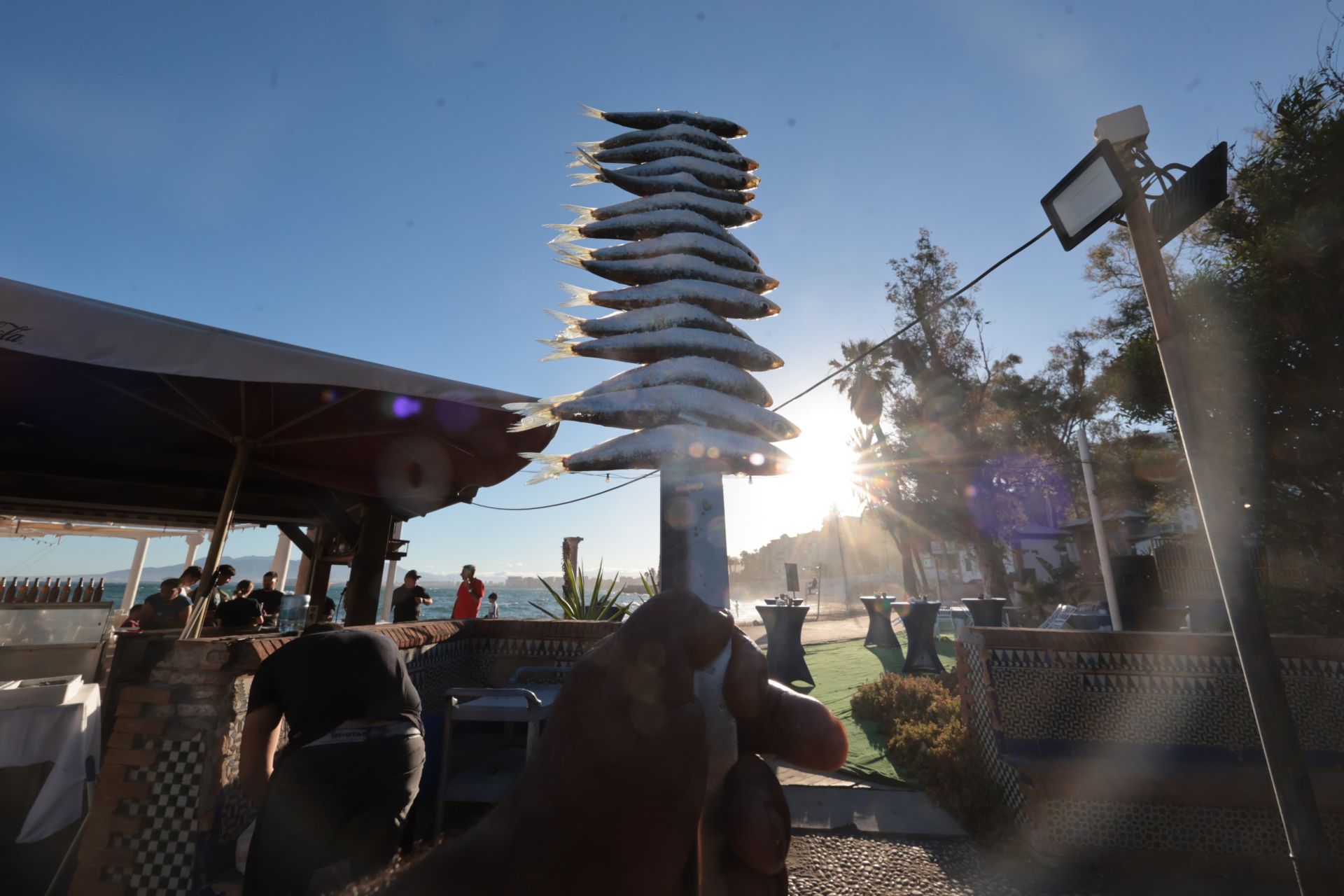 Finalists in the search for the best sardines on the Costa del Sol, in photographs