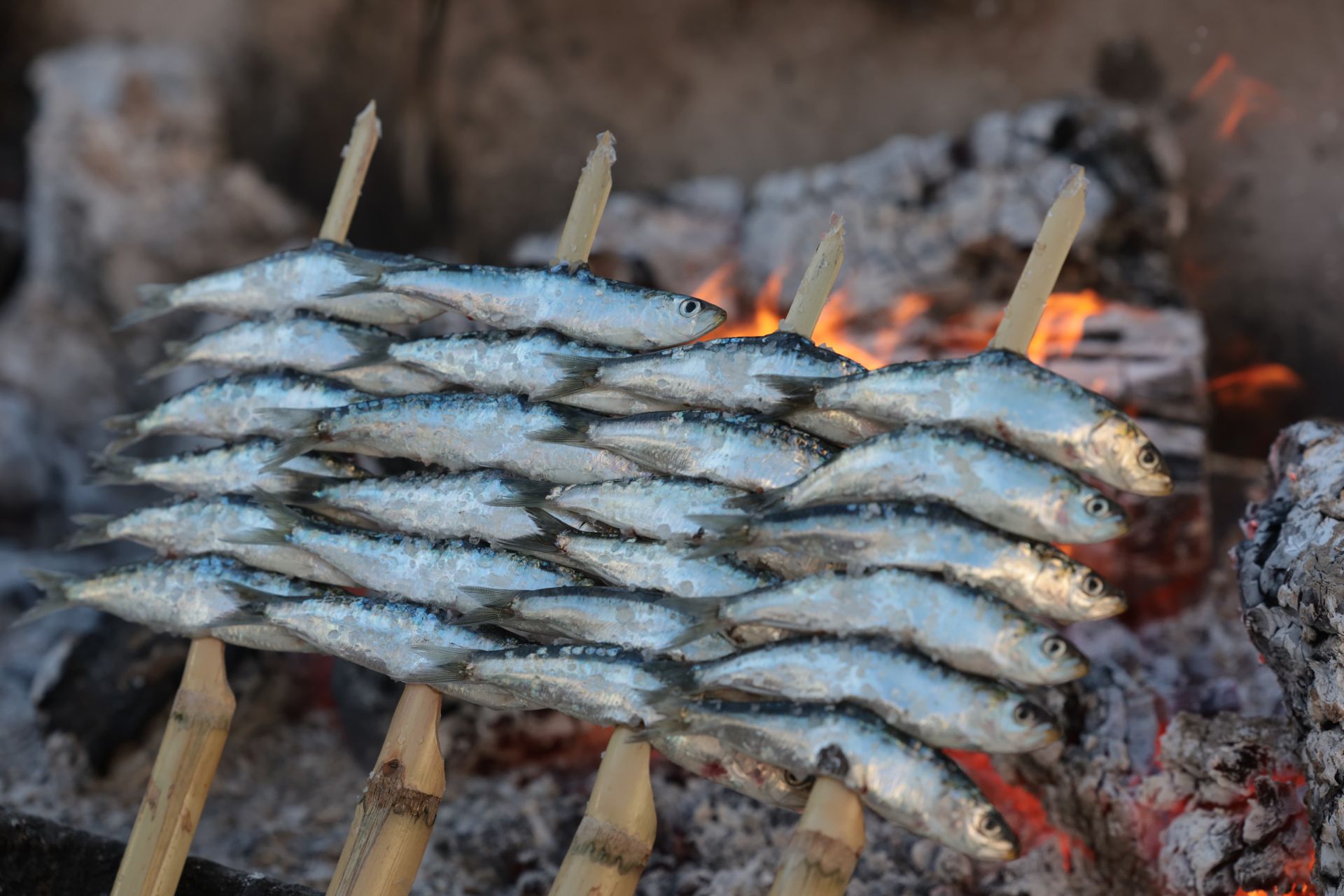 Finalists in the search for the best sardines on the Costa del Sol, in photographs