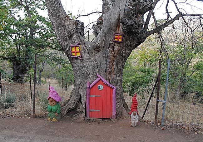 The Enchanted Forest has become a major attraction in Parauta in the last two years.