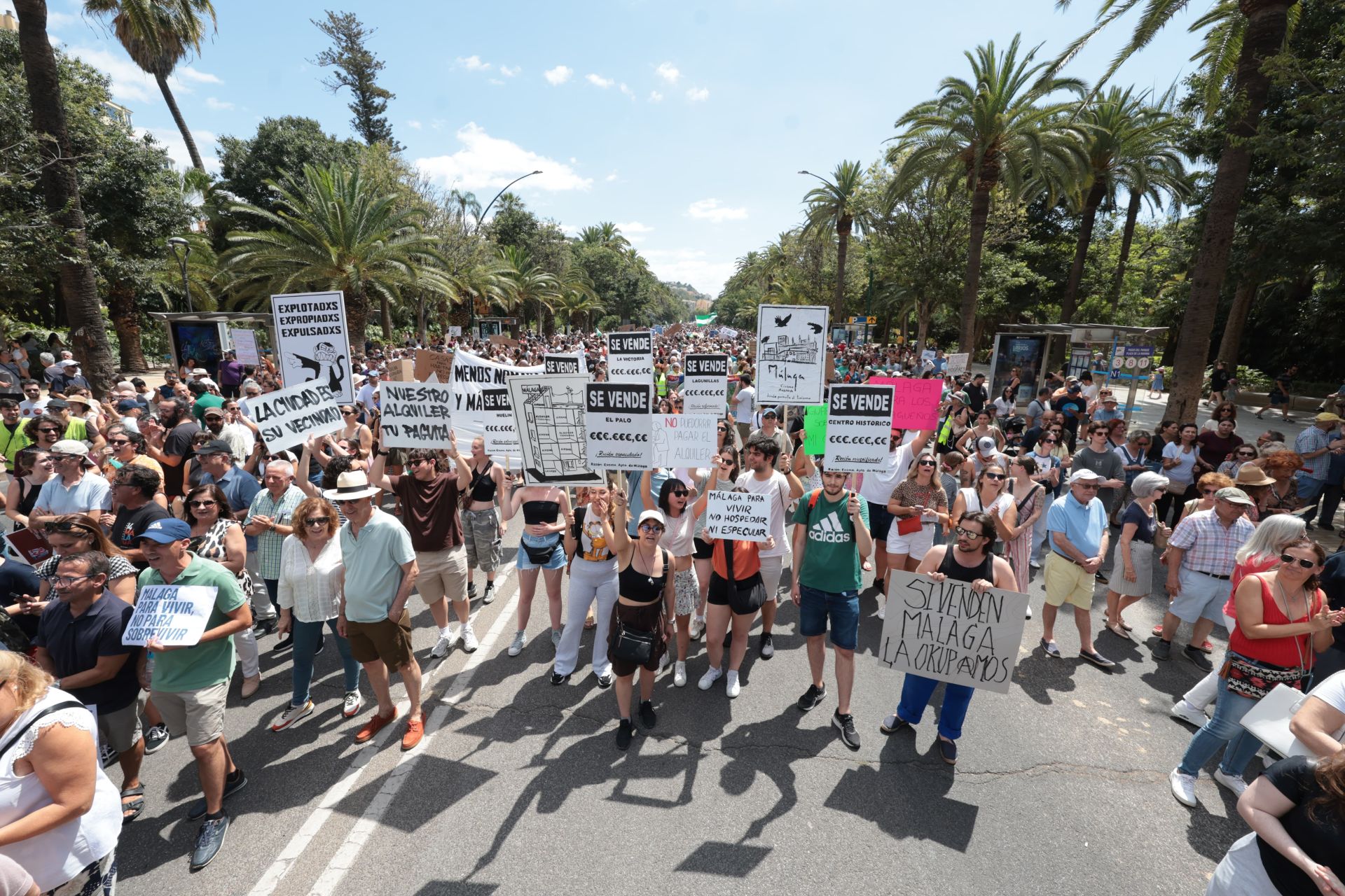 Housing crisis demonstration in Malaga, in pictures