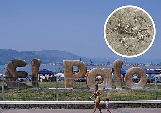 Winged ants surprised bathers on El Palo beach on Sunday.