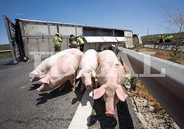 The accident happened on the A-92, between the municipalities of Fuensanta and Moraleda de Zafayona.