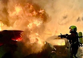 A firefighter from the Malaga provincial fire brigade tries to smother the flames.