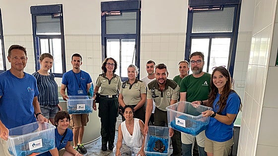 Vulnerable loggerhead turtles take a learning break in Benalmádena before reaching the sea for the first time