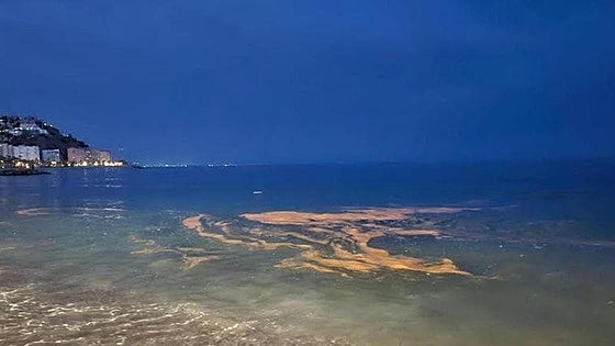 When is the best time to see this natural light show on Granada's Costa Tropical?