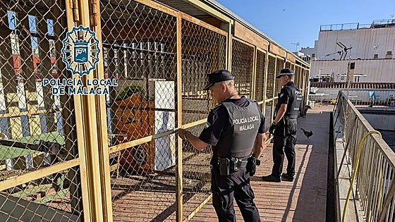 This is the moment 60 birds were rescued from illegal breeding ground for fighting cocks in Malaga