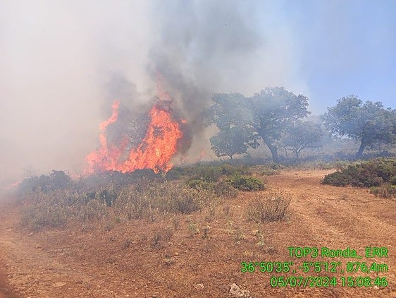 Four aircraft scrambled to tackle wildfire near Ronda